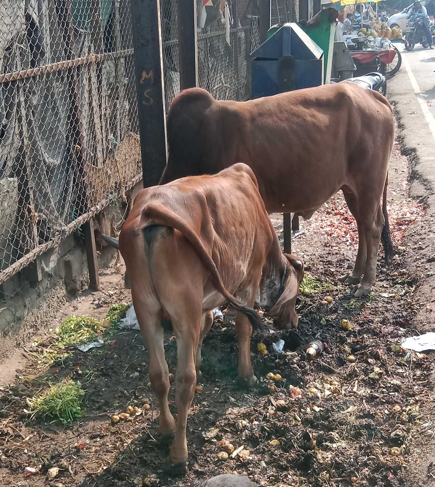 यह बात गलत है….