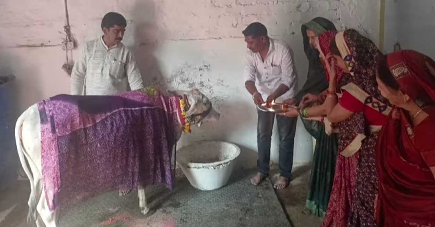 गौपाष्टमी….  गौमाता की पूजा कर सुख – समृद्धि की कामना