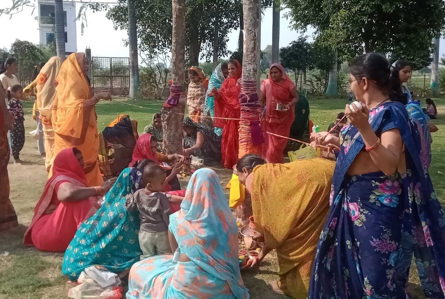 आंवला वृक्ष के नीचे पूजन कर मनाई आंवला नवमी