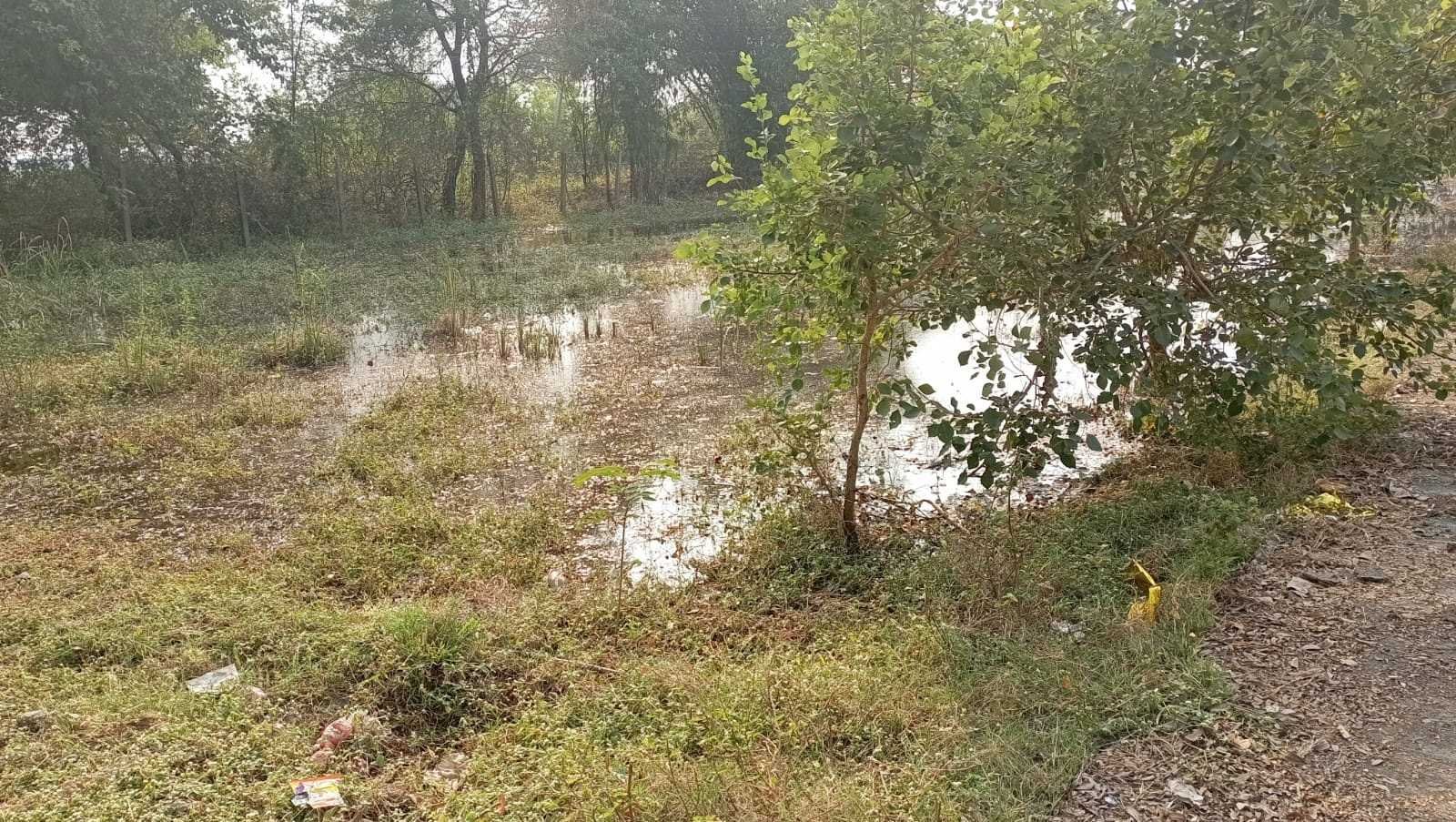 खेल मैदान में भराया पानी, विद्यार्थियों की हो रही परेशानी