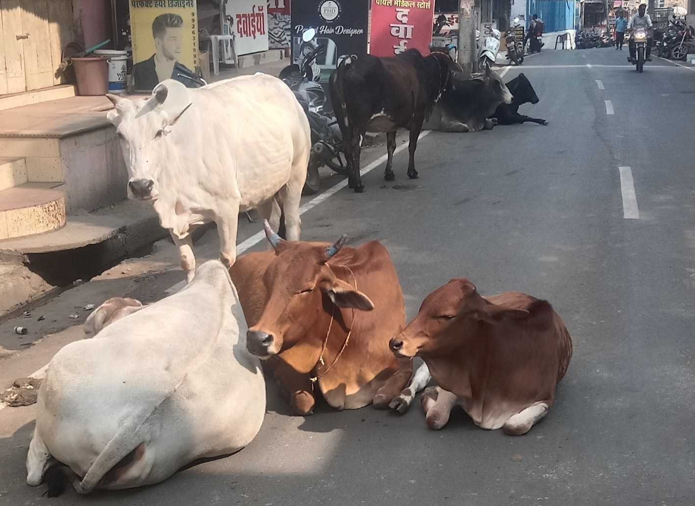 यह बात गलत है….