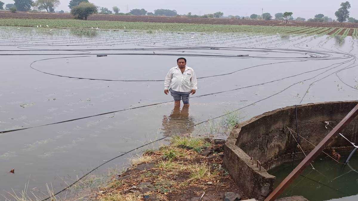 खेतों में घुसा नहर का ओवरफ्लाे पानी, चने-गेहूं की फसल को नुकसान