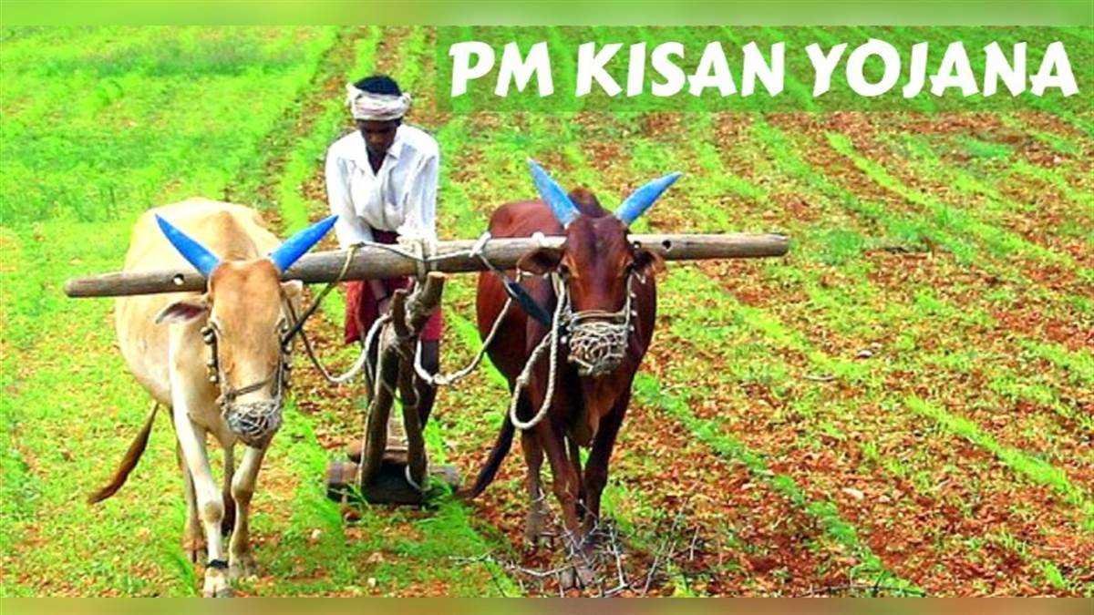 15वीं किस्त पर ताजा अपडेट, फिर खाते में आएंगे 2000-2000, क्या पति-पत्नी दोनों को मिलेगा लाभ
