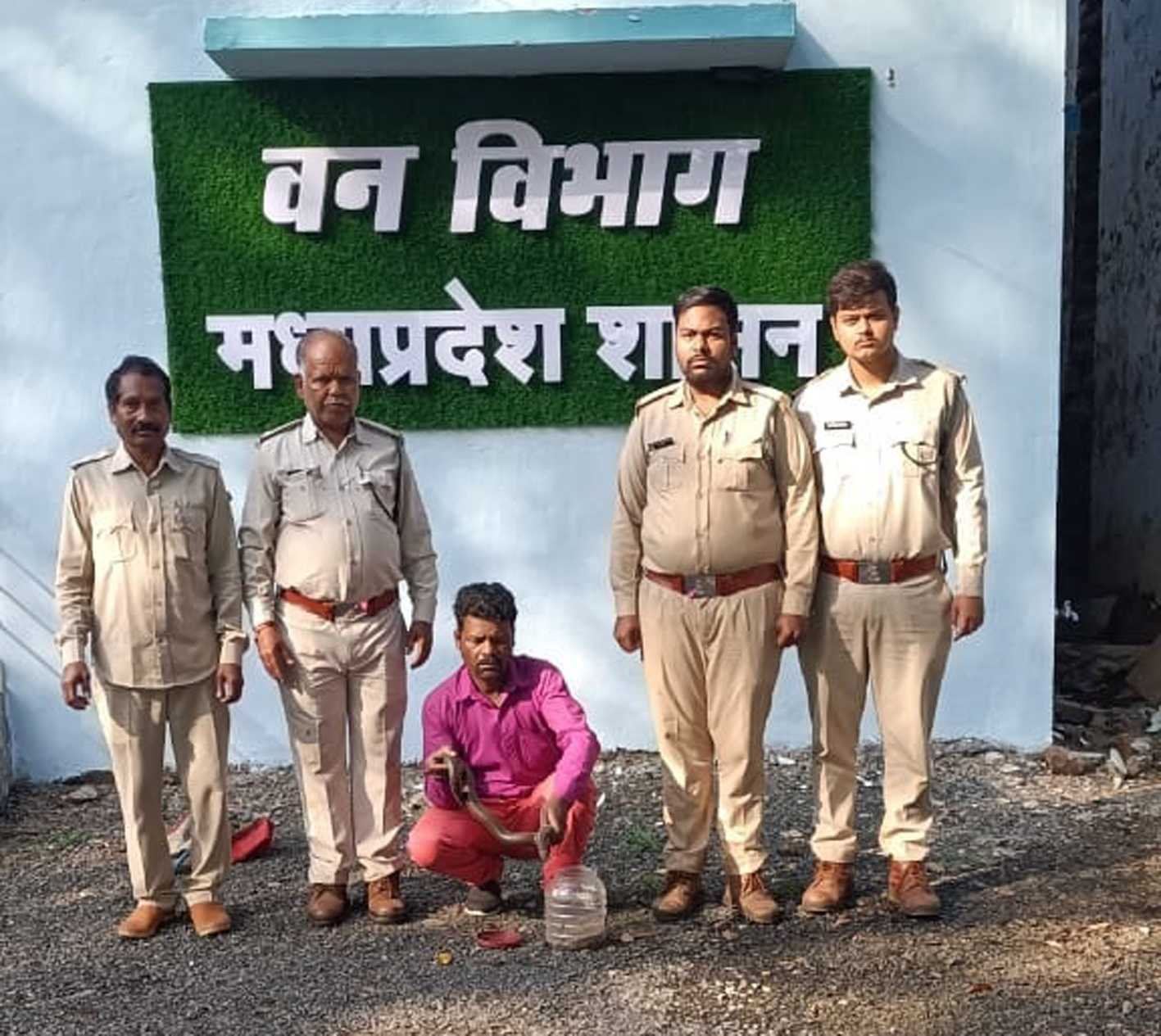 वन विभाग ने किया रेड सैंड बोआ सांप का रेस्क्यू