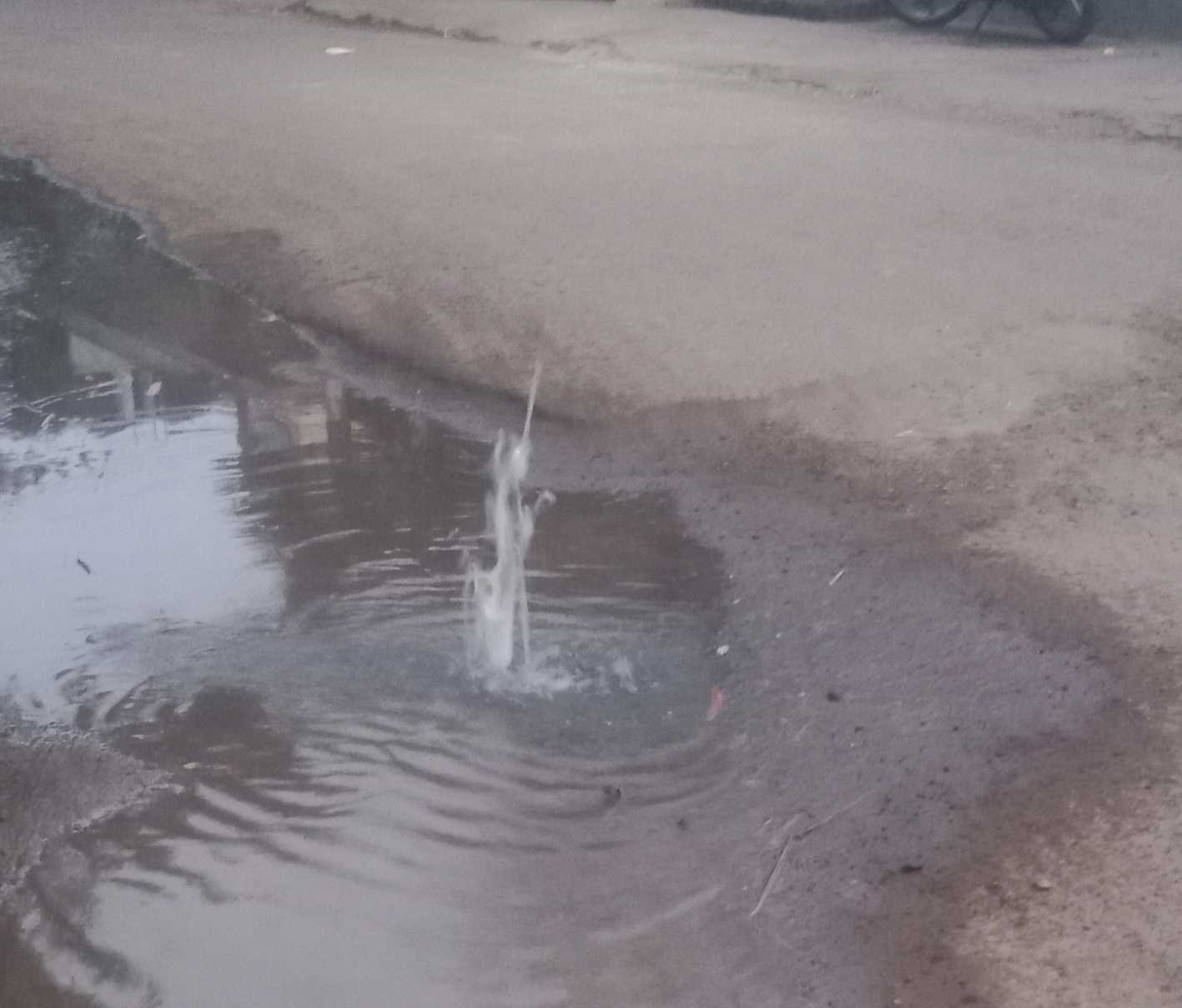 यह बात गलत है….