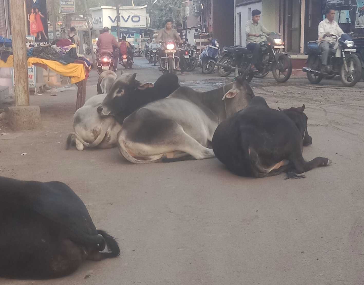 यह बात गलत है….