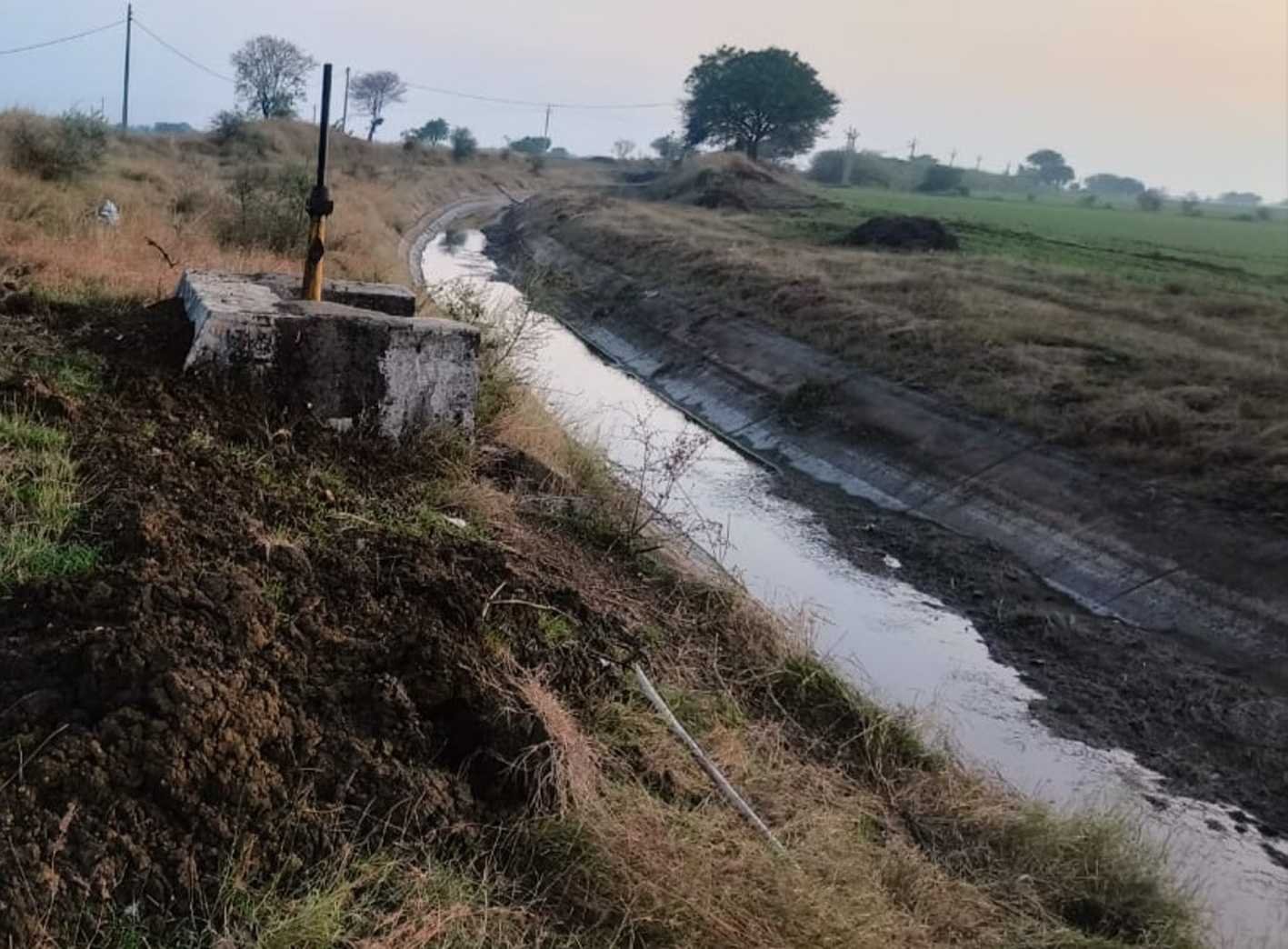 चना में उमाले की मार, जरूरत पड़ने पर नहर में छोड़ा 795 क्यूसेक पानी