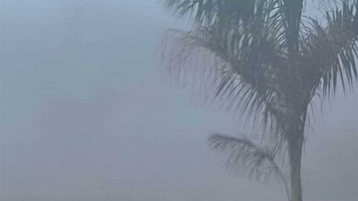 छाया सीजन का सबसे घना कोहरा, शीतलहर जैसे बने हालात