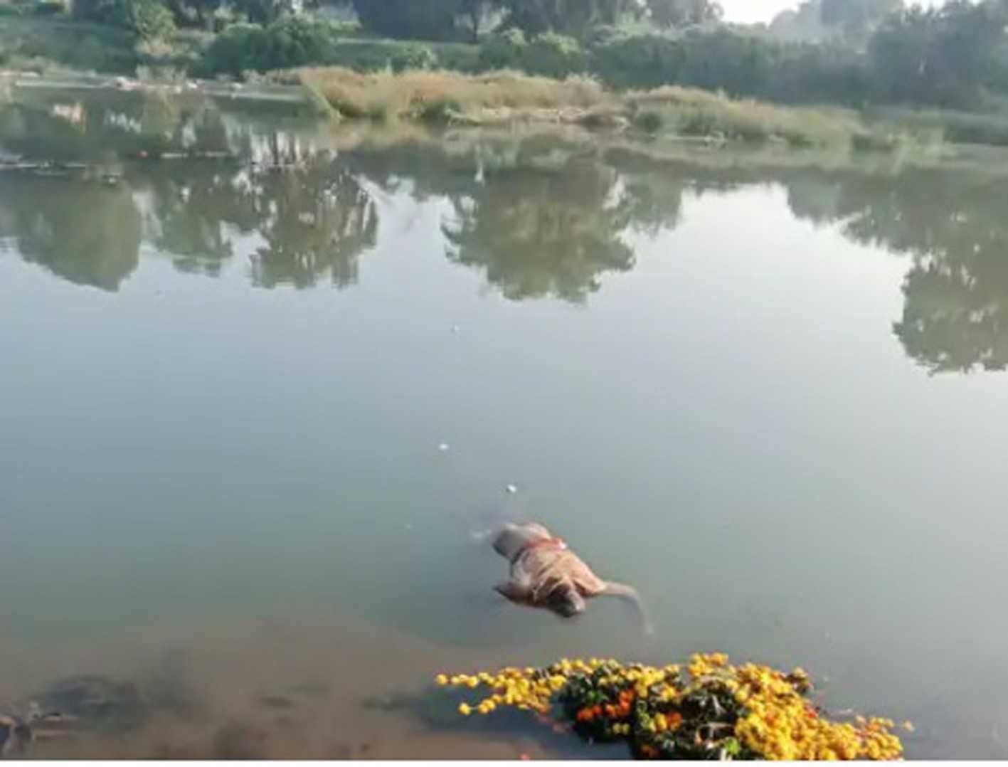 माचक नदी में मिला युवक का शव