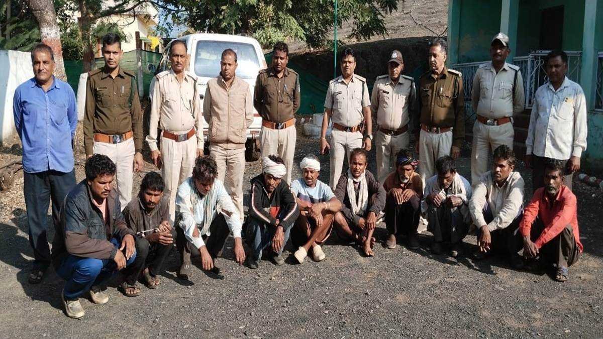 छिपकर कर थे जंगल की कटाई, वन विभाग ने दबिश देकर पकड़ा