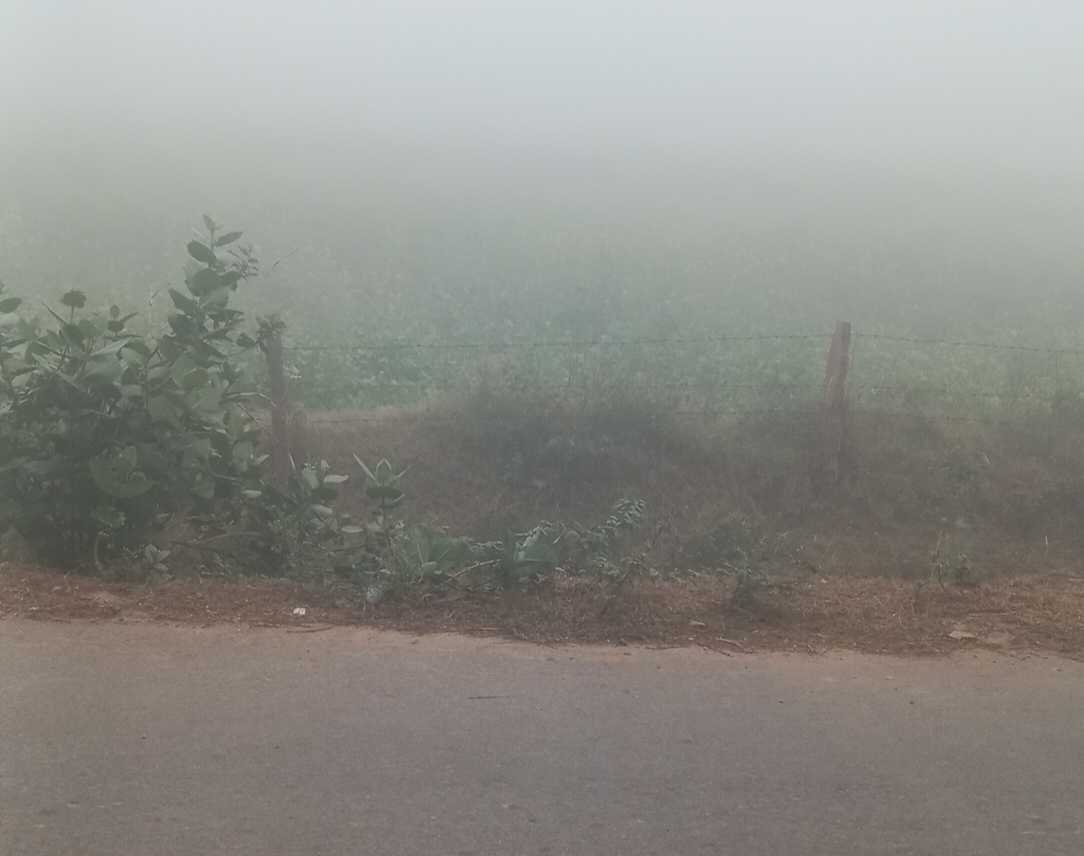 मौसम ने बदली करवट, सर्द हवाओं से मौसम में घुली ठंडक