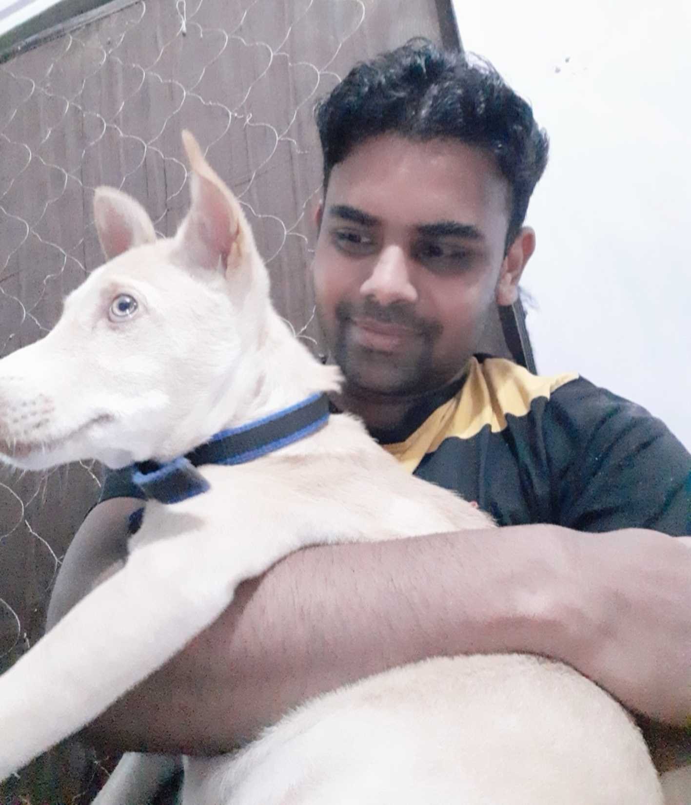 लापरवाही….  पशु विभाग की लापरवाही से डॉगी की मौत