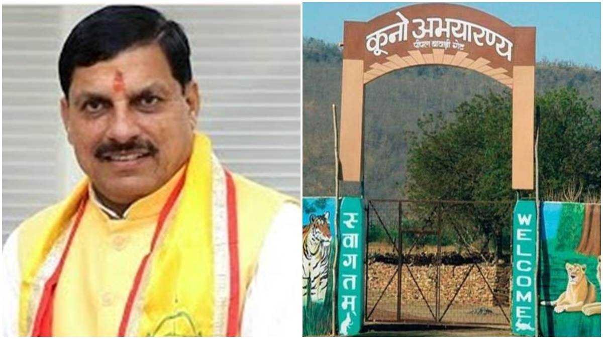 सीएम मोहन यादव का दौरा स्‍थगित, कूनो फारेस्ट फेस्टिवल का करने वाले थे शुभारंभ