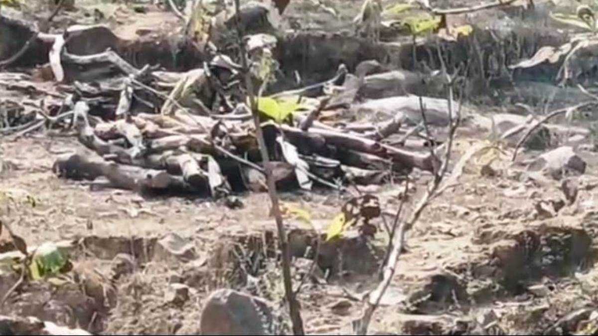 रातापानी अभ्यारण्य में जारी बाघ संघर्ष की घटनाएं, अब तक तीन बाघ और एक तेंदुए की मौत