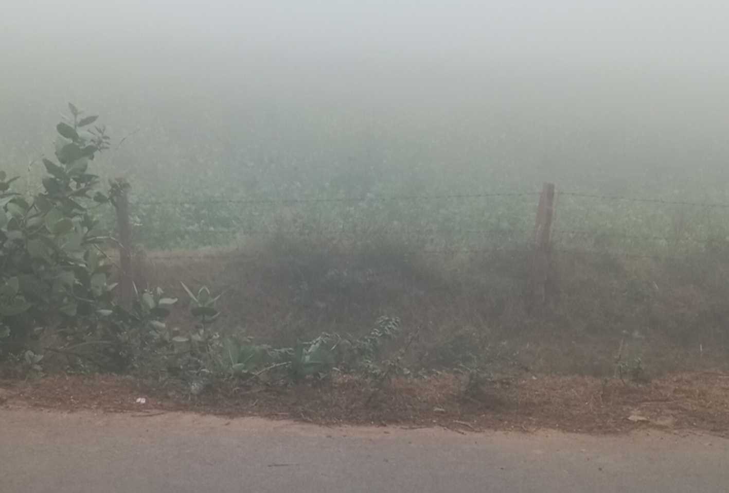 रह-रहकर चल रही ठंड की सुरसुरी