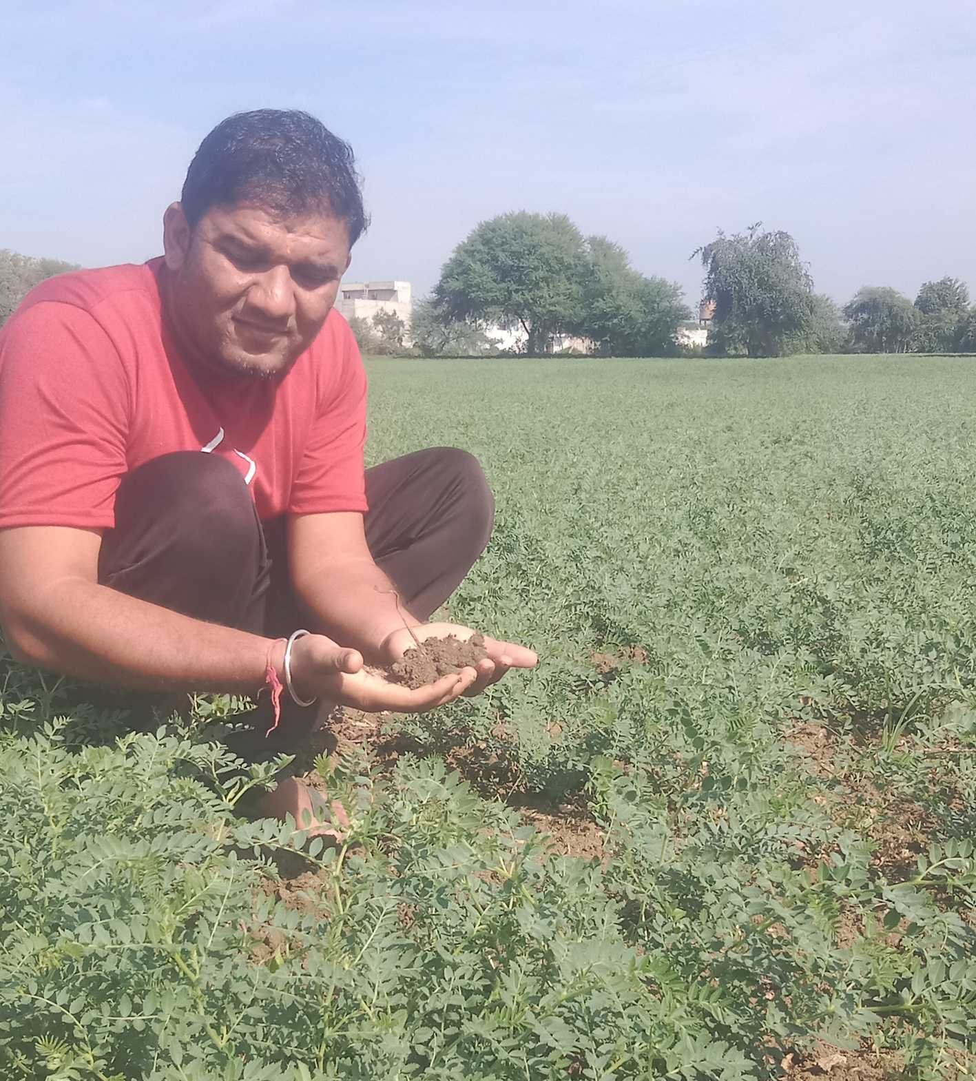 खेतों में पर्याप्त नमी ! अब फसल की सेहत पर फोकस