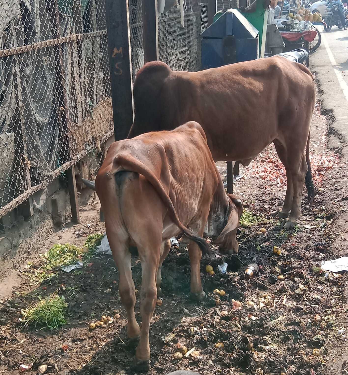 बीच बजरिया अव्यवस्था, दुकानदारों की लापरवाही के चलते गंदगी का अंबार