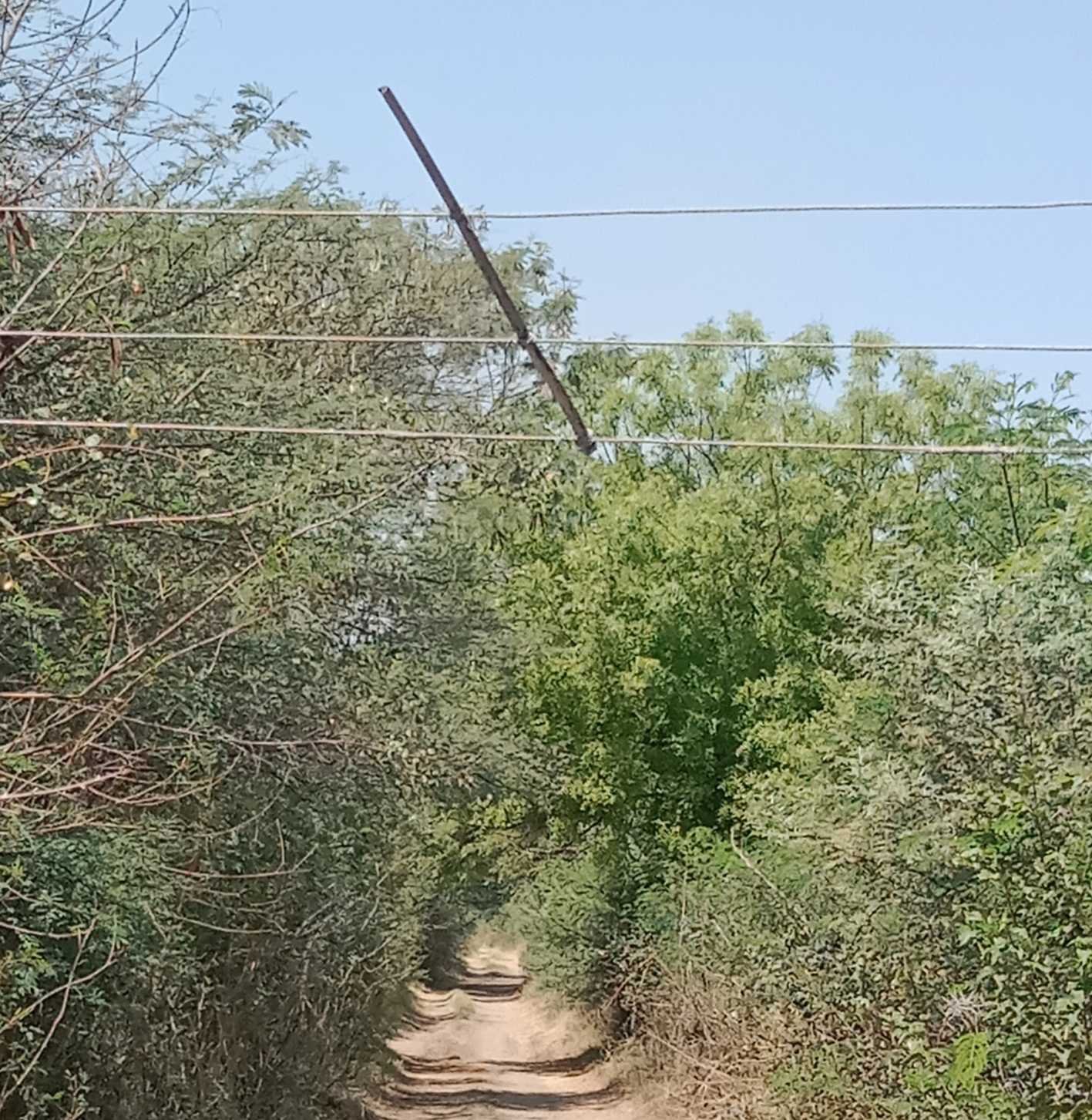 यह बात गलत है….