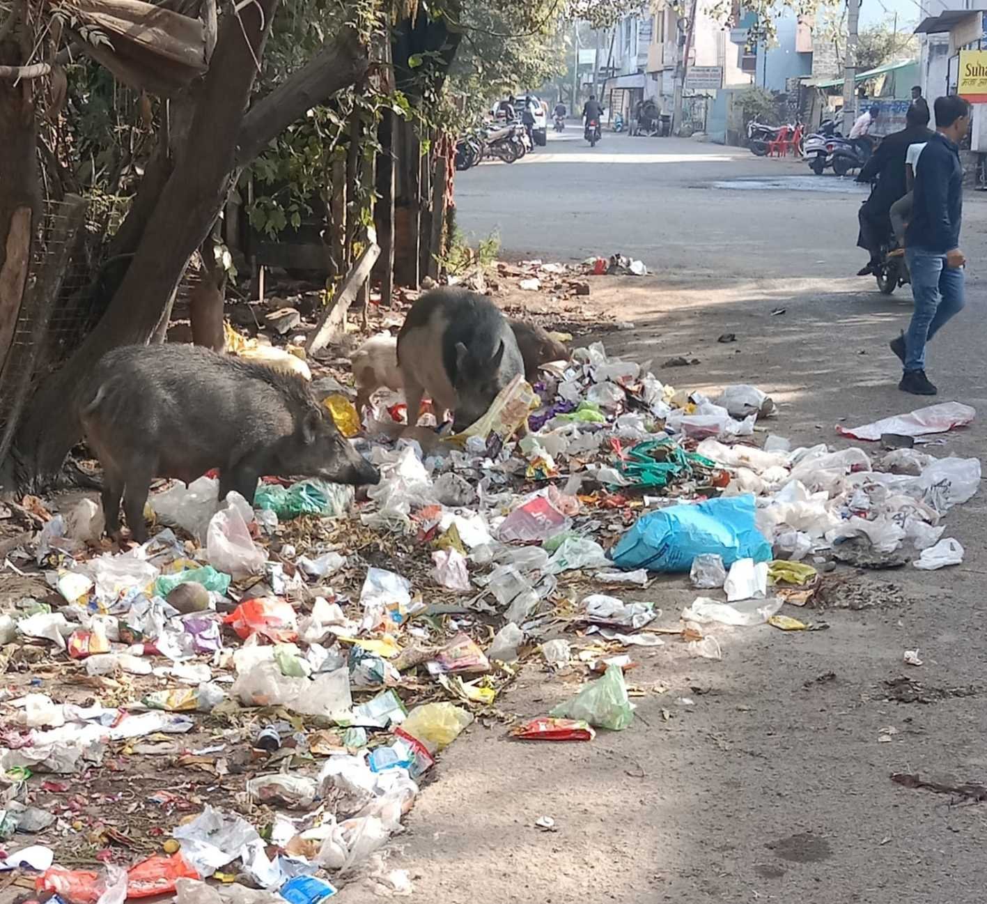 शहर में दिखती गंदगी आपका दृष्टिदोष, खामोश! शहर में सफाई अभियान चल रहा है