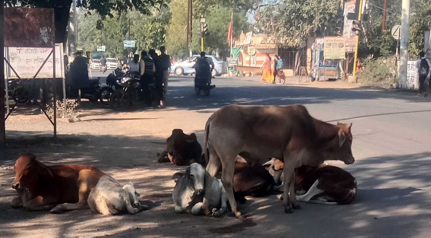 यह बात गलत है….