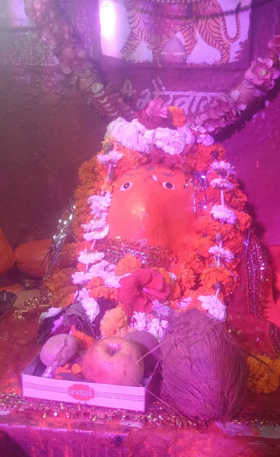 धार्मिक अनुष्ठान….  रामायण के श्लोकों से गूंजा भैरव शक्तिपीठ