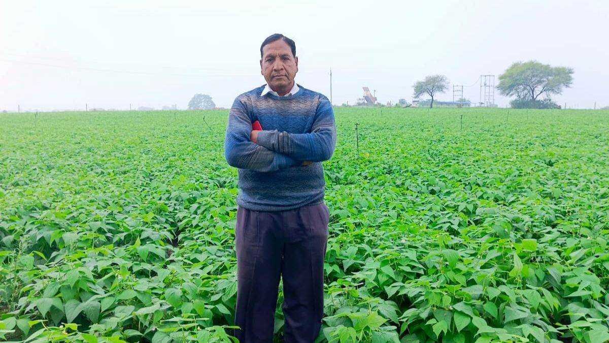 मध्य प्रदेश के मालवा में पहली बार होगी राजमा की पैदावार