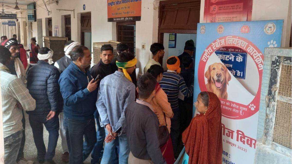 बढ़ा श्वानों का आतंक, एक दिन में 92 घायल पहुंचे अस्पताल