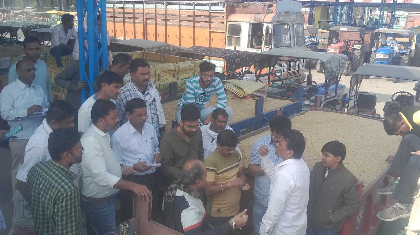 भाव की कछुआ चाल …  सोयाबीन के भाव में स्थिरता, आवक घटी