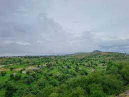 प्रदेश के ज्यादातर शहरों में मौसम खुशनुमा