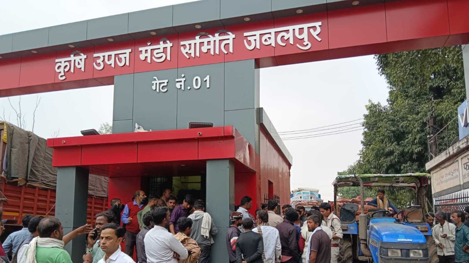 फिर शुरू हुई मटर खरीदी, प्रशासन के आश्वासन पर व्यापारियों की हड़ताल खत्म