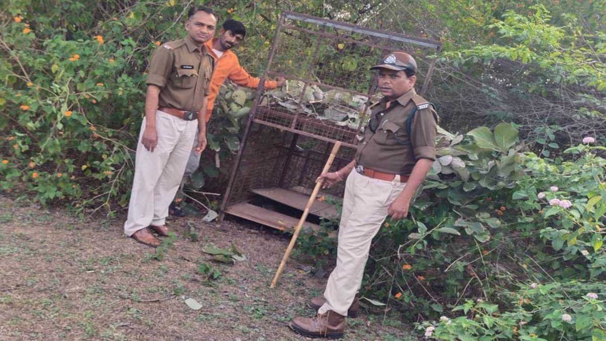 बाग इलाके में दो जंगली जानवर देख जान बचाने पानी की टंकी पर चढ़े ग्रामीण