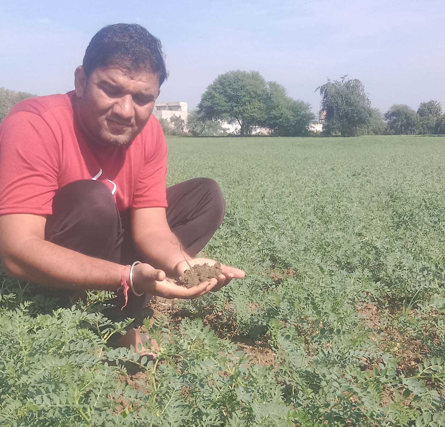 उफ ! ये मौसम की मार ….  चने की फसल में तीसरी बहार से बंधी आस