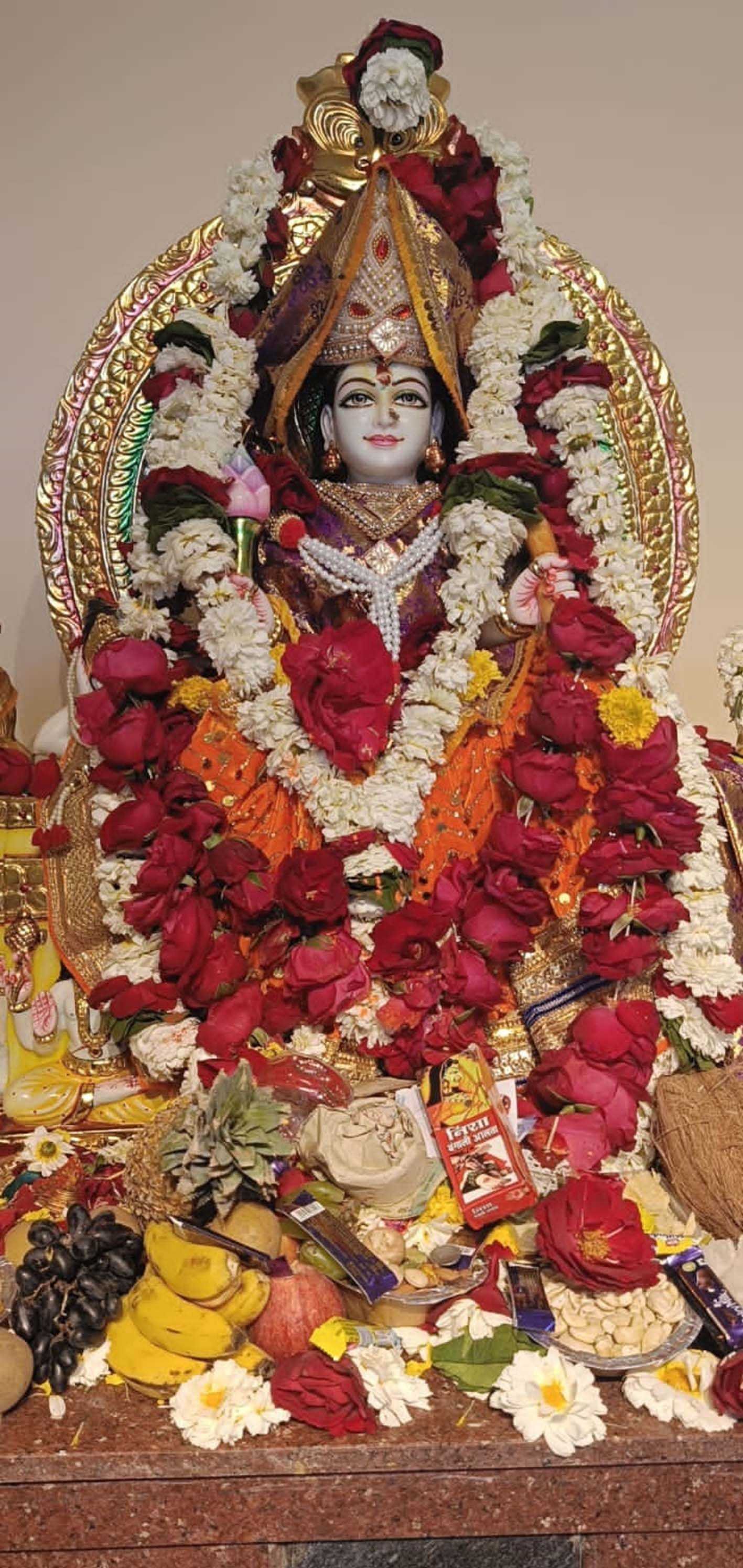 मॉ राजराजेश्वरी के जयकारों से इलाका गूंजायमान