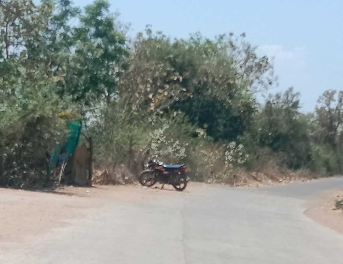 हंडिया में फलफूल रहा शराब का अवैध धंधा