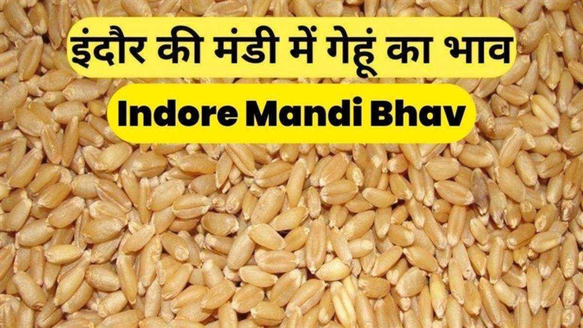 इंदौर मंडी में नए गेहूं की आवक, मुहूर्त में 12 हजार के ऊपर बिका