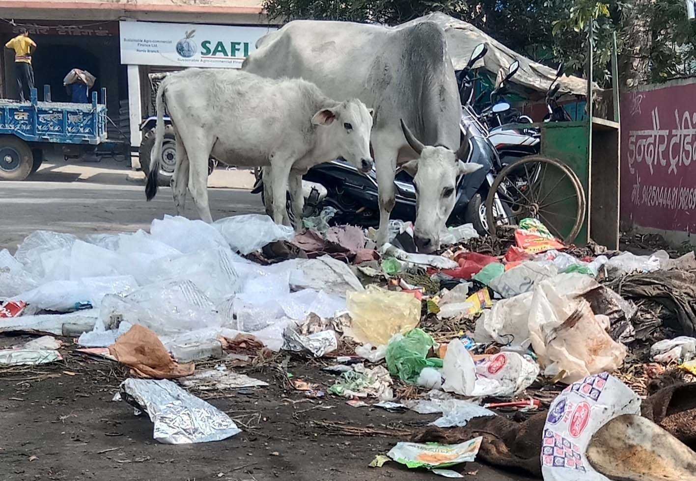 यह बात गलत है