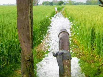 पूर्व मंत्री के संकल्प को उम्मीद अनुरूप रफ्तार….      हंडिया बैराज से मजरे-टोलो में लहलहाएंगी फसल
