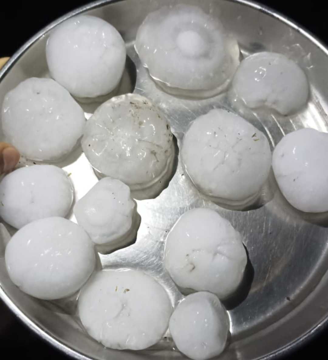 आफत के ओले, जमींदोज हुई लहराती फसल