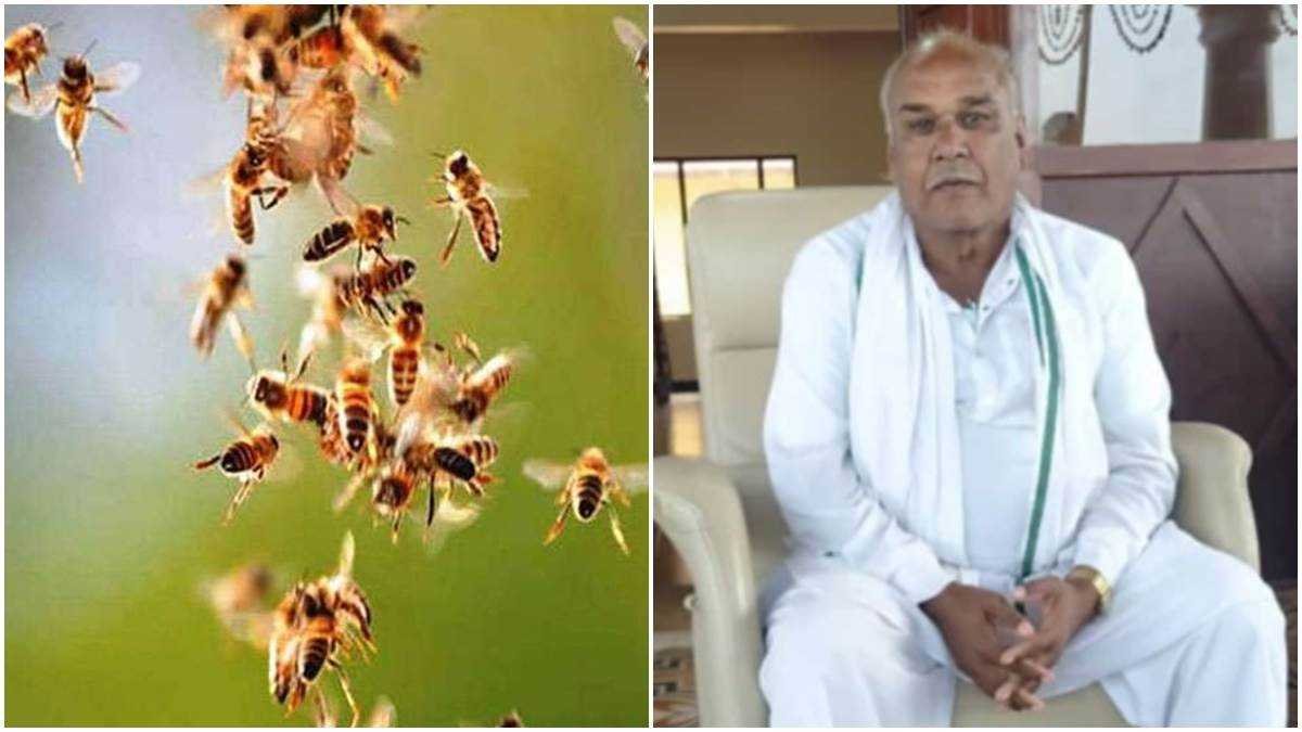 खेत में फसल देखने गए बुजुर्ग पर मधुमक्खियों ने कर दिया था हमला, उपचार के दौरान मौत