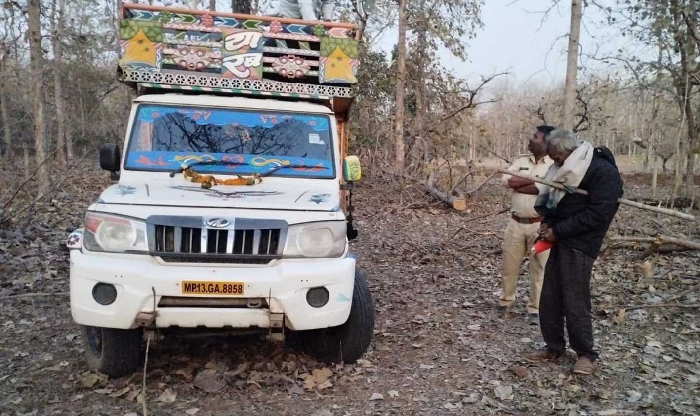 २ लाख ४० हजार रुपए की अवैध सागौन जब्त