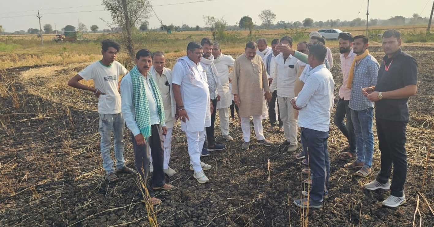 फसल नुकसानी का किया निरीक्षण