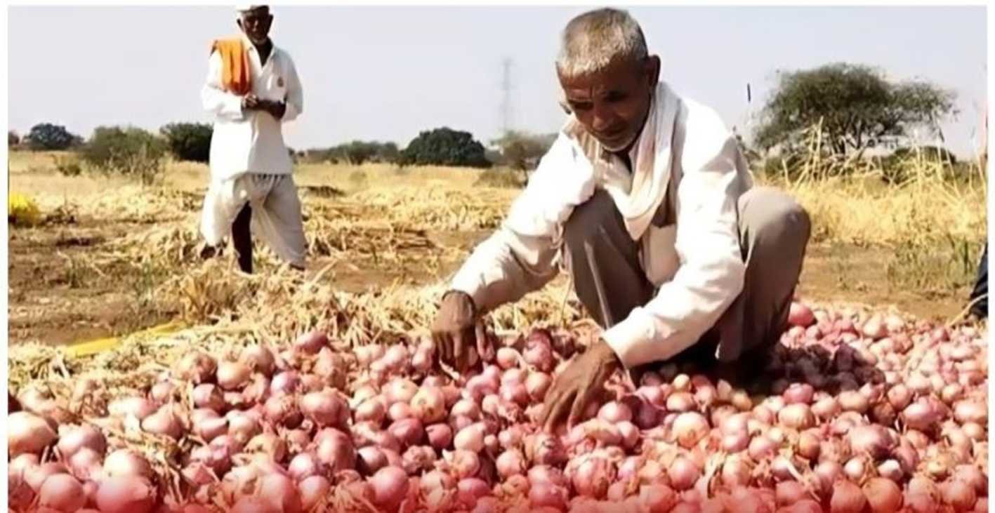 अंतर की लड़ाई ….  थोक भाव में गिरावट ! फुटकर भाव जस का तस