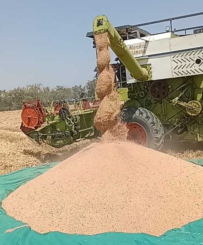 मौसम की मार ! डगमगाया फसलों का उत्पादन