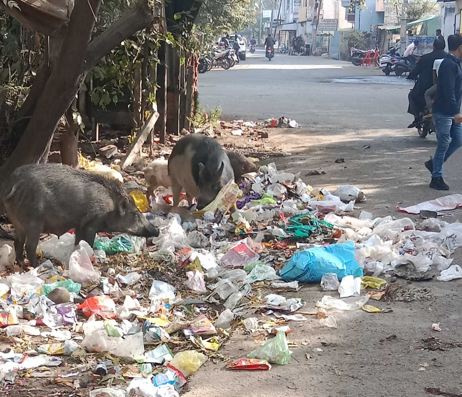 यह बात गलत है