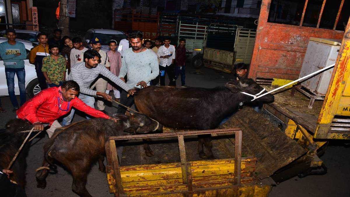 अवैध बूच़डखानों पर नगर निगम और पुलिस ने तड़के 4 बजे छापे मारे