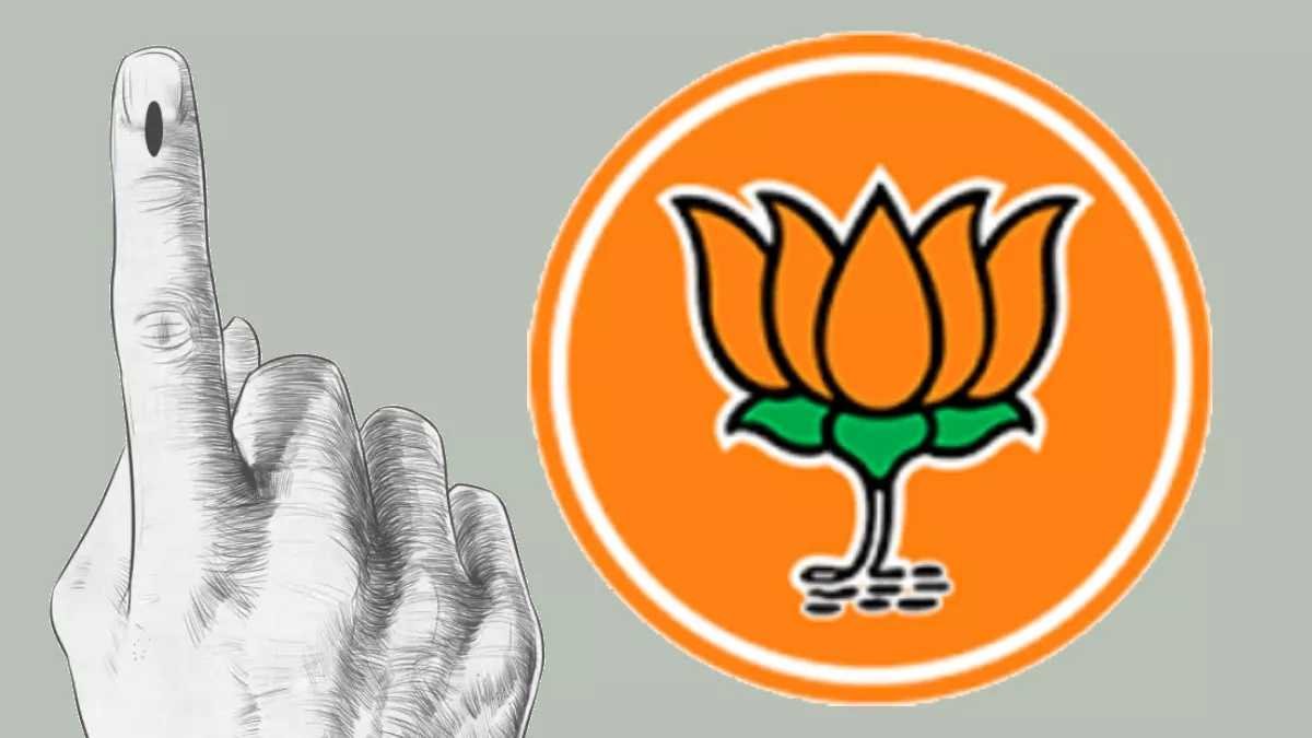 आखिर क्यों नहीं मिला भाजपा को बहुमत?