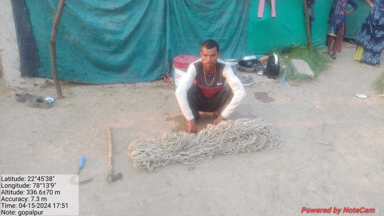 पार्टी के लिए 3 जंगली सुअरों का शिकार