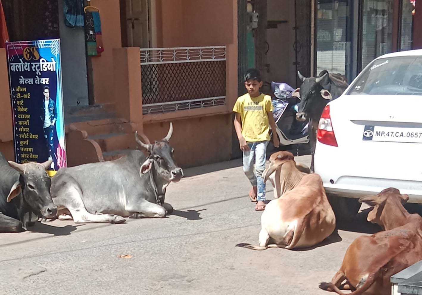 यह बात गलत है  