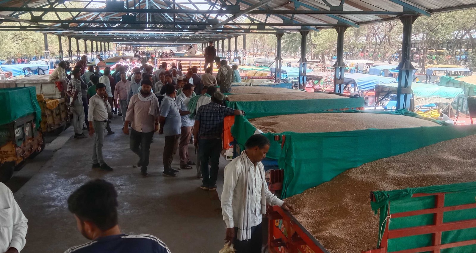 नफा-नुकसान का गणित….  मंडियों में बंपर आवक, खरीदी केन्द्रों पर सन्नाटा