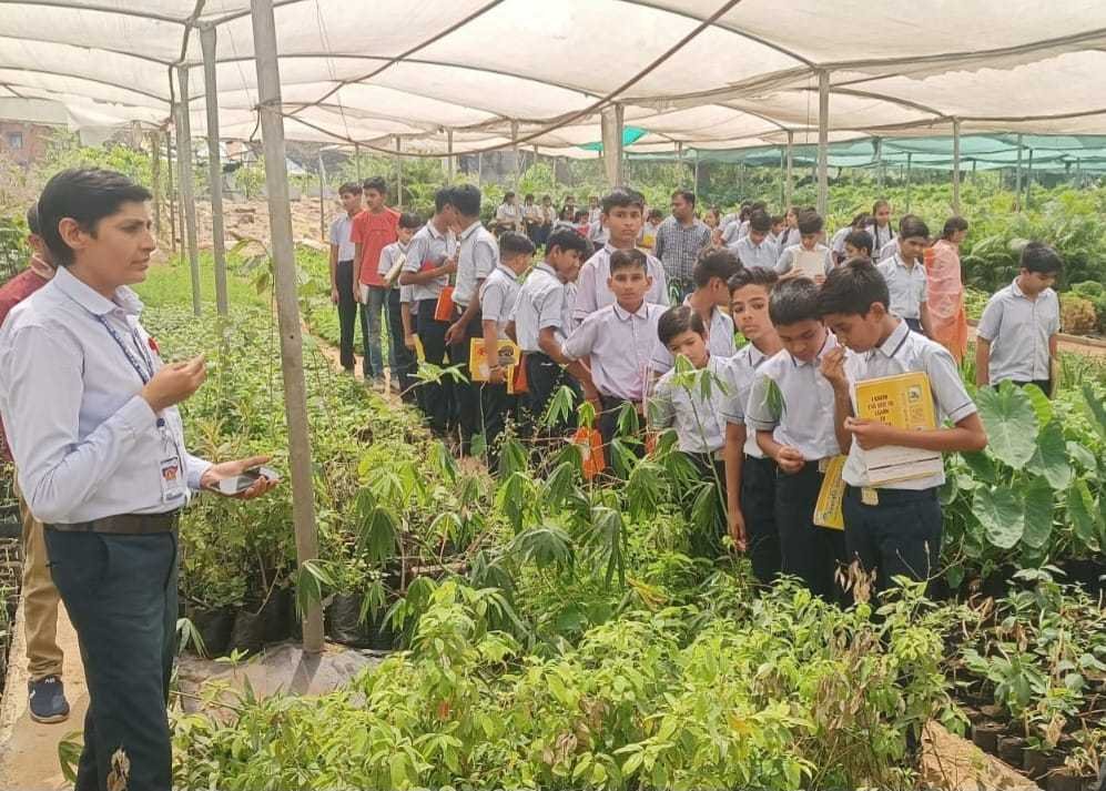 दो सौ से अधिक प्रजाति के गुलाब से महकती नर्सरी वाटिका